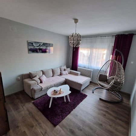 Grey & Sunny Apartments Zajecar Exterior photo